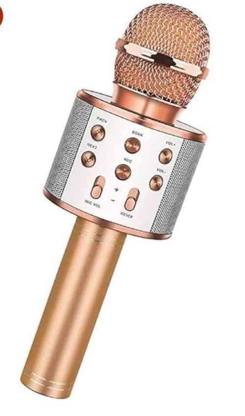 Mic